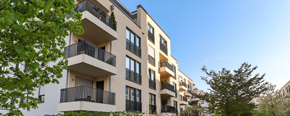 renters_banner_spring_flathead renters_banner_spring_flathead