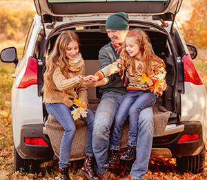 Auto Insurance